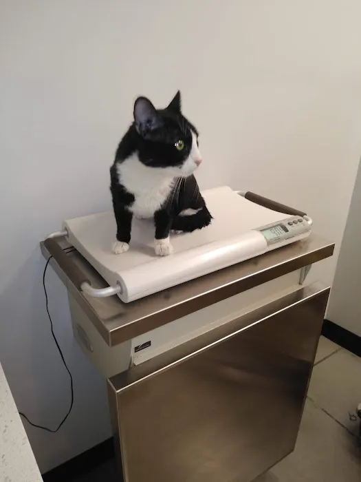 Los Angeles Veterinary Center Picture 1