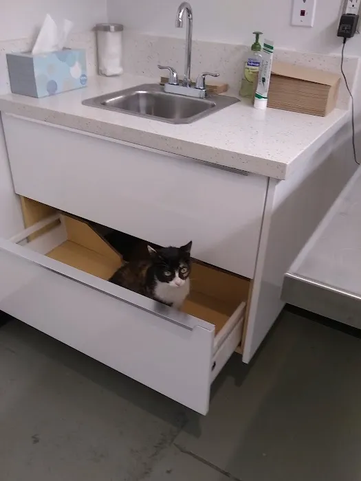 Los Angeles Veterinary Center Picture 2