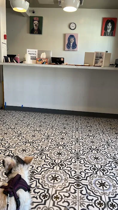 Los Angeles Veterinary Center Picture 4