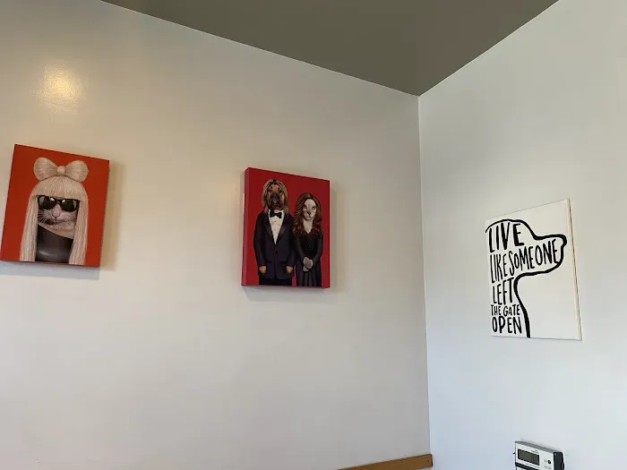 Los Angeles Veterinary Center Picture 8