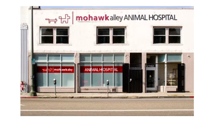 Mohawk Alley Animal Hospital Picture 3