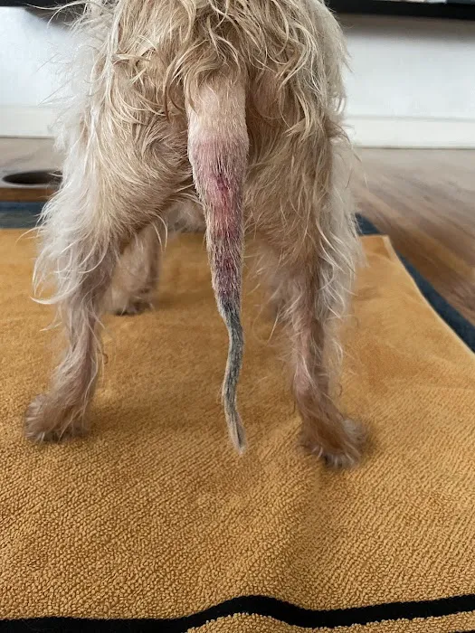 Mohawk Alley Animal Hospital Picture 6