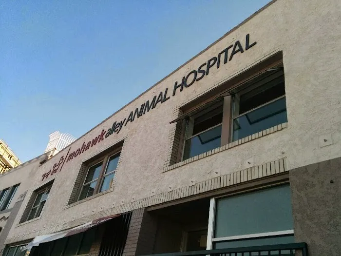 Mohawk Alley Animal Hospital Picture 8