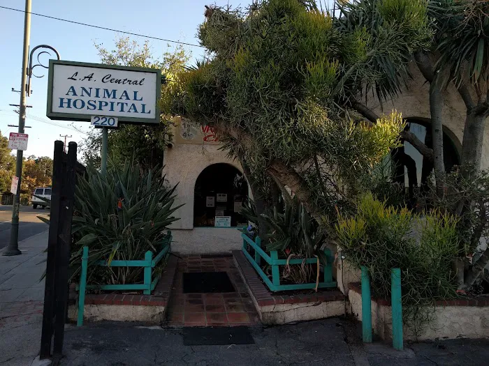 L A Central Animal Hospital Picture 1