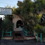 L A Central Animal Hospital
