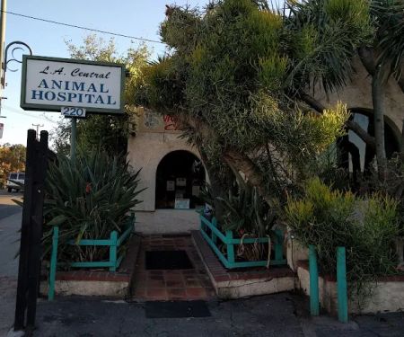 L A Central Animal Hospital
