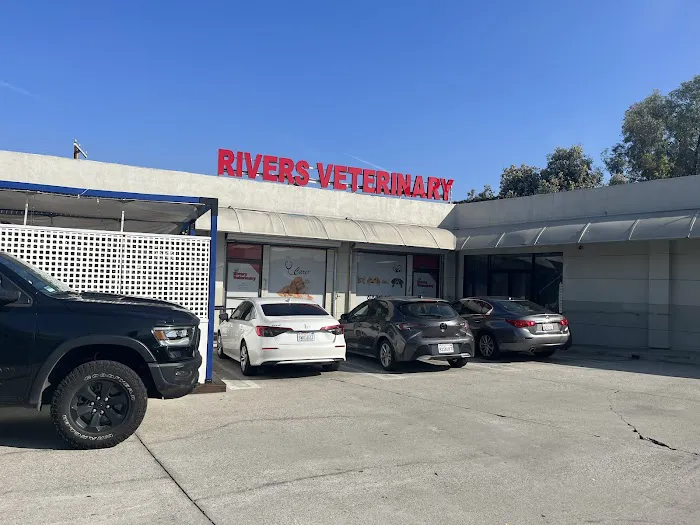 Rivers Veterinary Picture 2