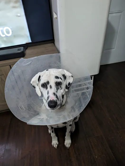 Rivers Veterinary Picture 7