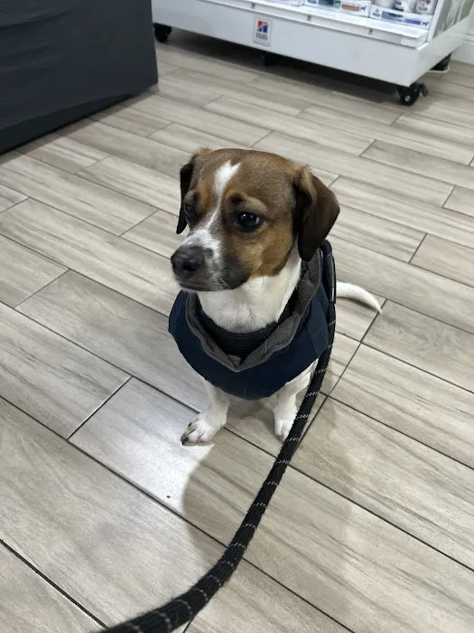 Ark Veterinary Care Picture 6