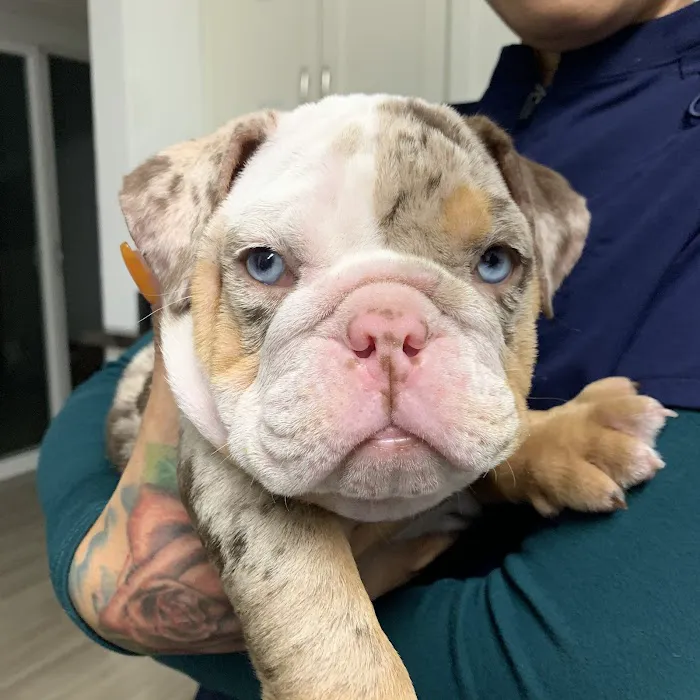 Ark Veterinary Care Picture 8