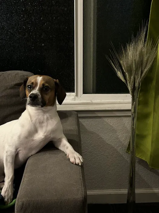 Ark Veterinary Care Picture 10