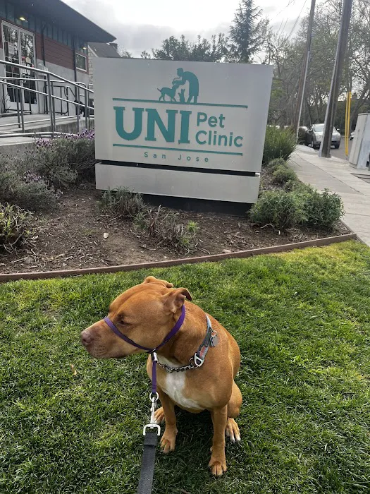 UNI Pet Clinic - San Jose Picture 10