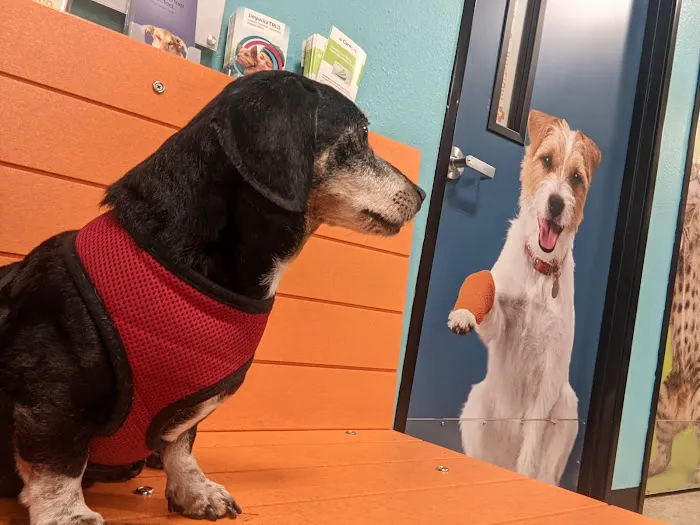 Banfield Pet Hospital Picture 10
