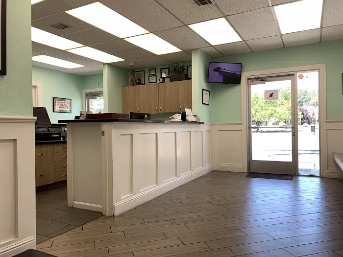 San Jose Animal Hospital Picture 6