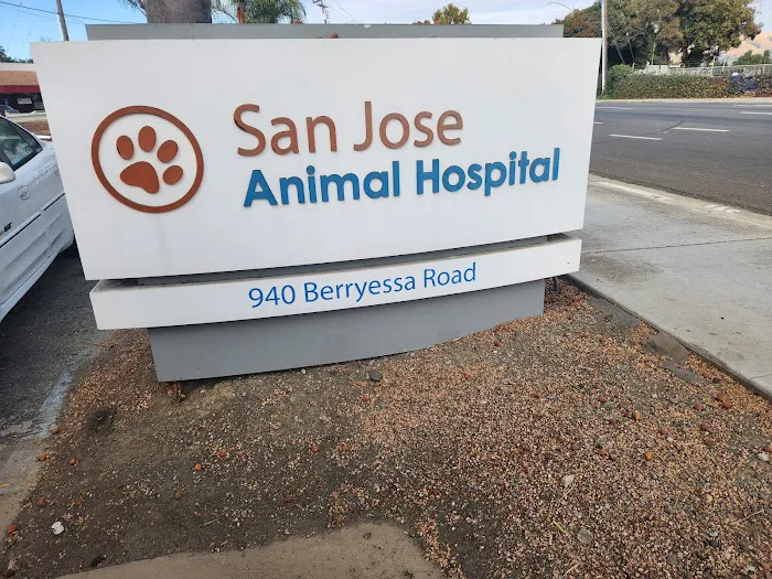 San Jose Animal Hospital Picture 7