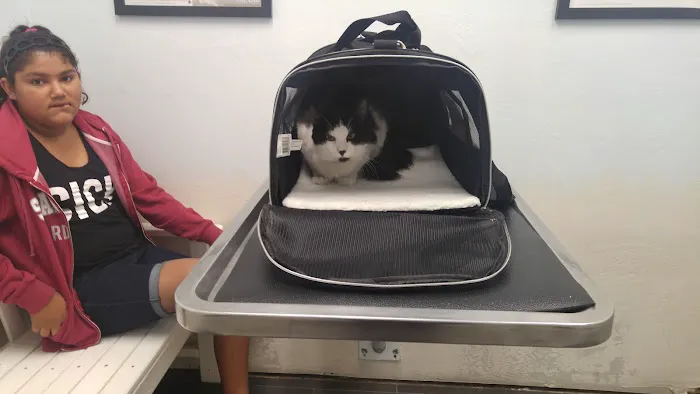 San Jose Animal Hospital Picture 8