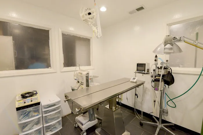 Story Road Animal Hospital Picture 1