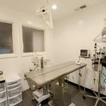 Story Road Animal Hospital