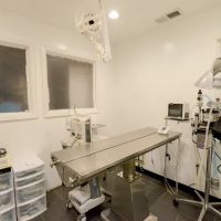 Story Road Animal Hospital ico