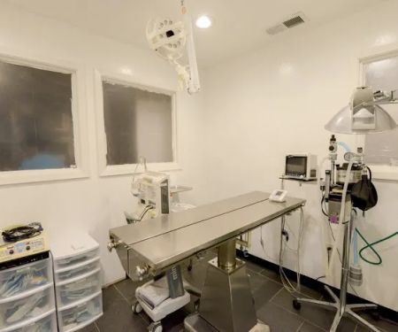 Story Road Animal Hospital