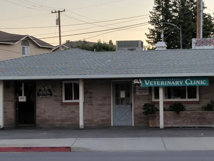 Lincoln Avenue Veterinary Clinic Picture 2