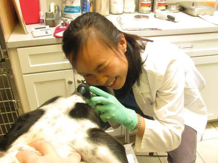Lincoln Avenue Veterinary Clinic Picture 10