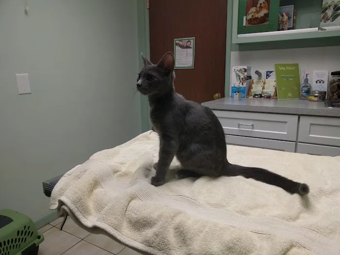 Lincoln Avenue Veterinary Clinic Picture 9