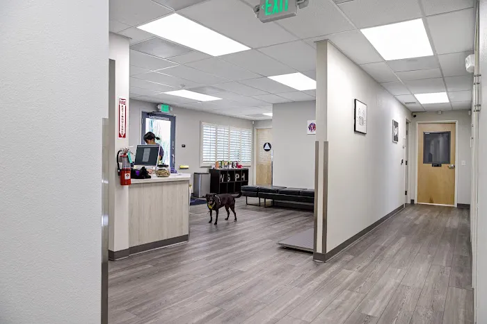Willow Glen Pet Hospital Picture 2