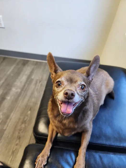 Willow Glen Pet Hospital Picture 10