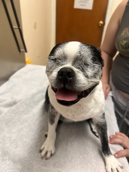 Burbank Pet Hospital Picture 1