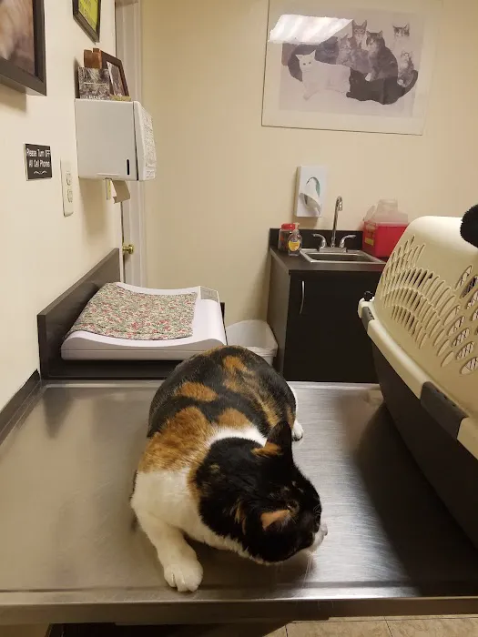 Burbank Pet Hospital Picture 9
