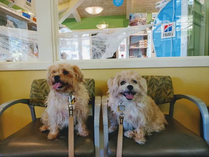 VCA Crocker Animal Hospital Picture 1