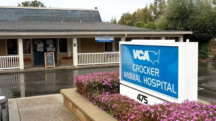 VCA Crocker Animal Hospital Picture 2