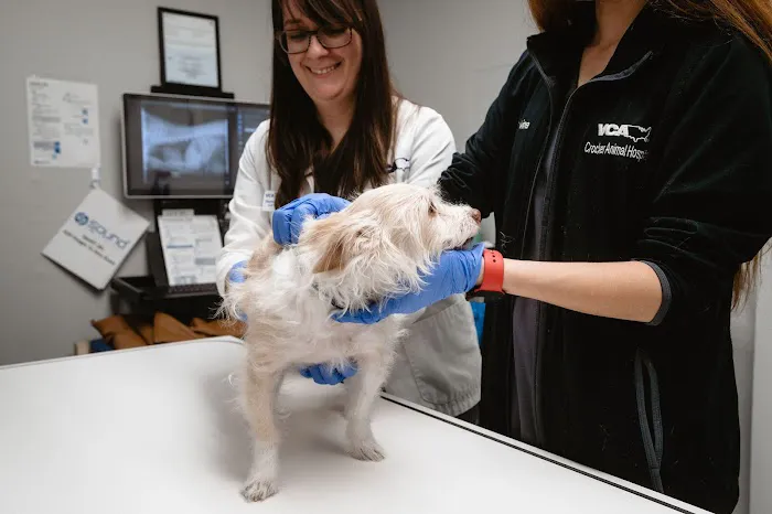 VCA Crocker Animal Hospital Picture 6
