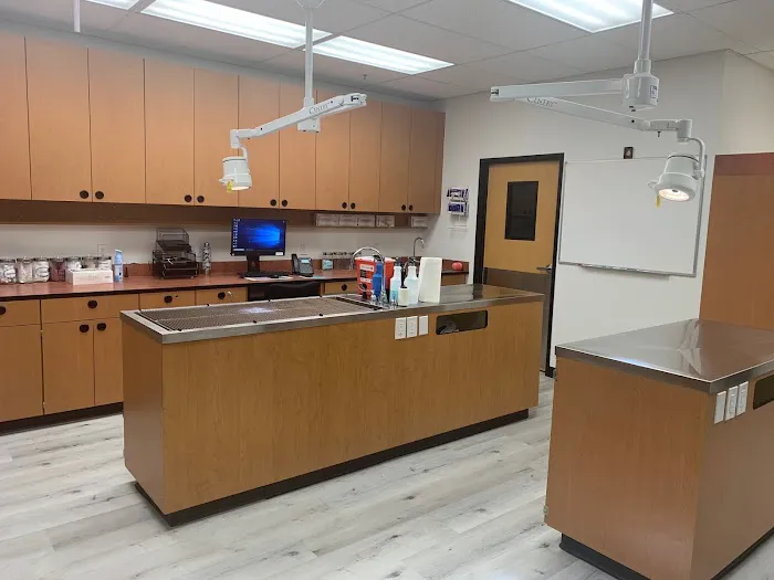 Curtner Pet Clinic & Hospital Picture 3