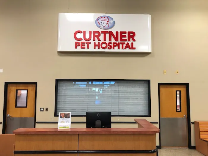 Curtner Pet Clinic & Hospital Picture 1