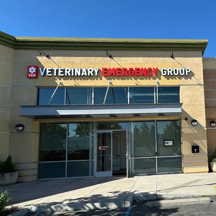 Veterinary Emergency Group Picture 3
