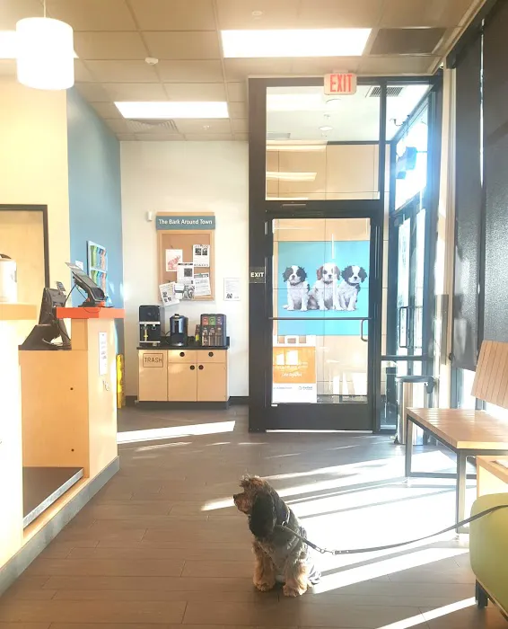 Banfield Pet Hospital Picture 1