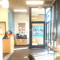 Banfield Pet Hospital ico