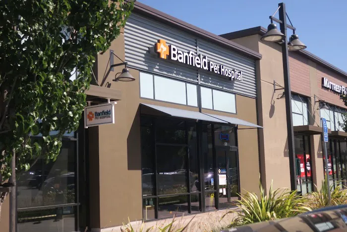 Banfield Pet Hospital Picture 2