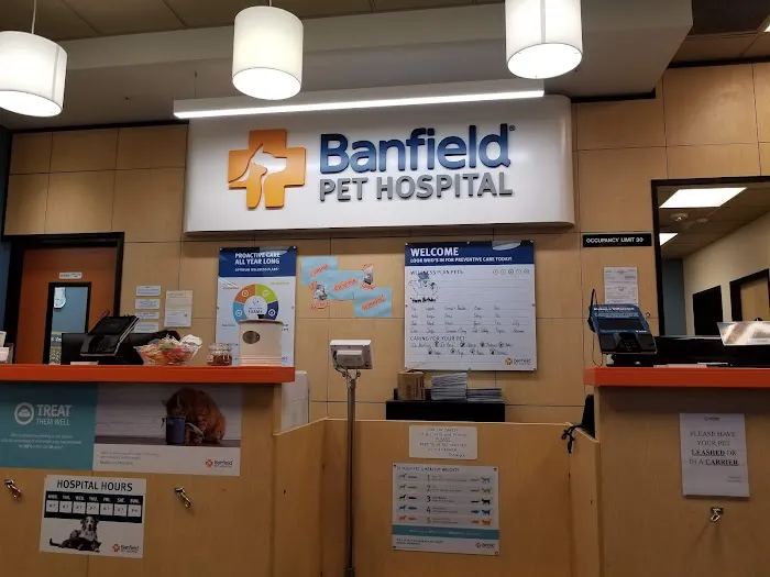 Banfield Pet Hospital Picture 6