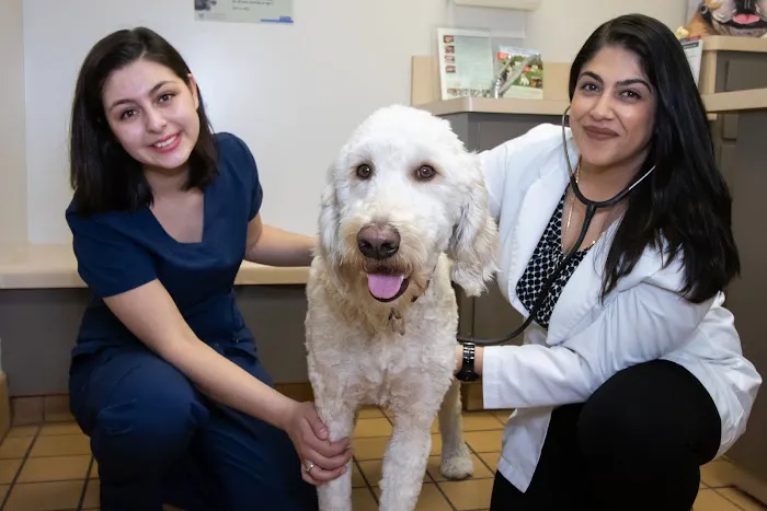 Alum Rock Animal Hospital Picture 1