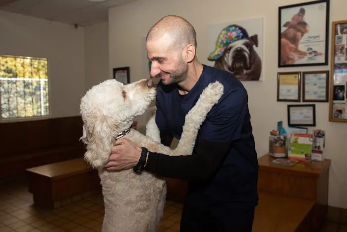 Alum Rock Animal Hospital Picture 6