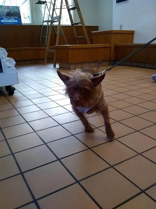 Alum Rock Animal Hospital Picture 9