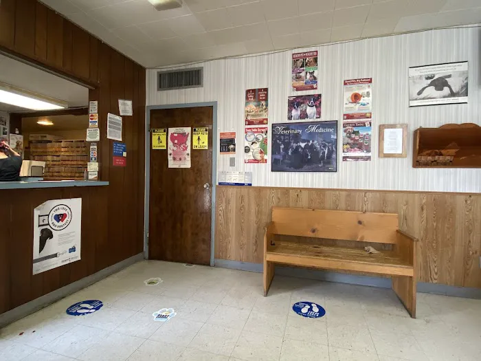 East Hills Veterinary Clinic Picture 8