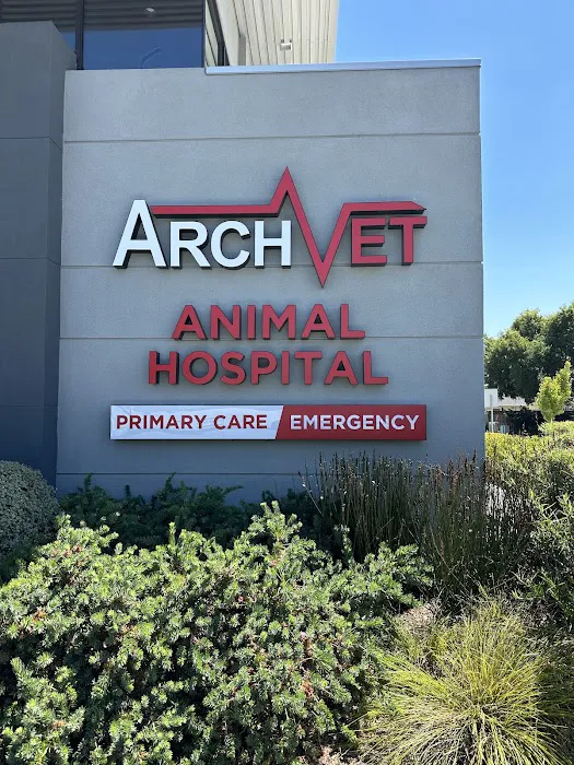 ARCHVET Emergency Hospital Picture 1