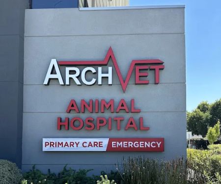 ARCHVET Emergency Hospital