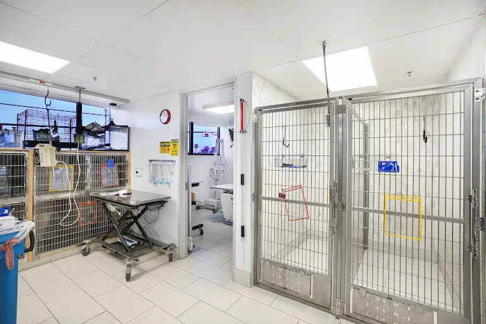 ARCHVET Emergency Hospital Picture 4