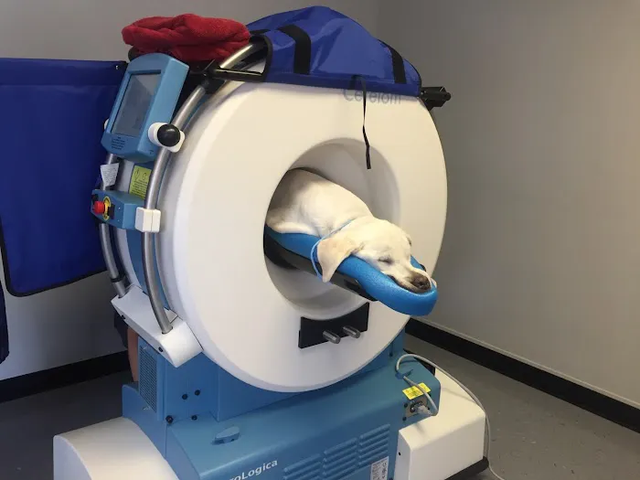 VetCTscan Picture 2