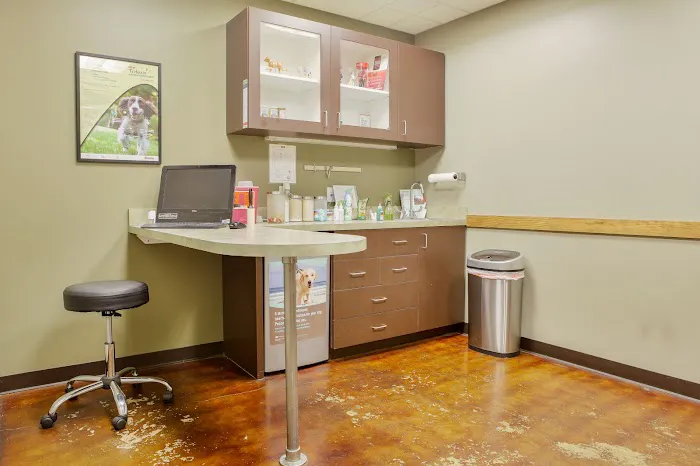 Austin Urban Veterinary Center Picture 3